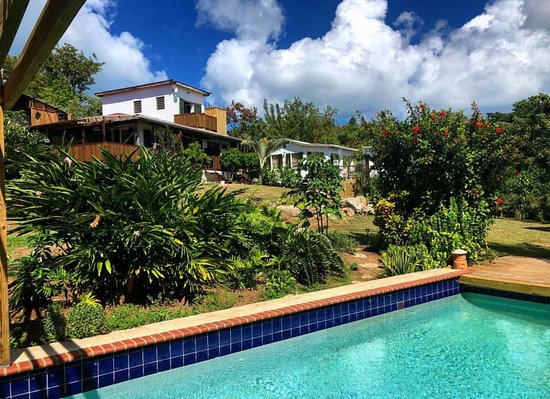 Jardin Victoria Con Alberca