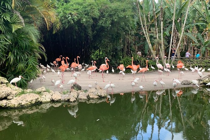 Local Los Flamencos