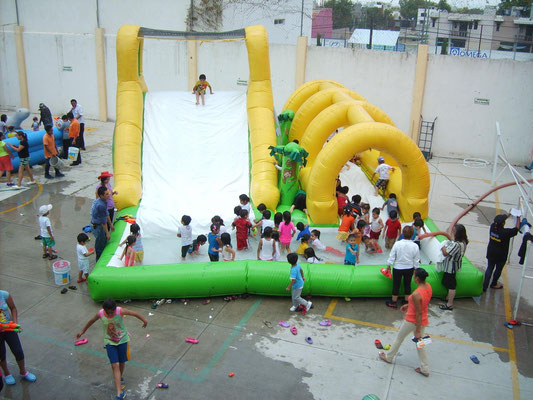 Renta Y Alquiler De Carpas, Sillas, Brincolín, Mesas, Inflables, Taquizas Y Banquetes