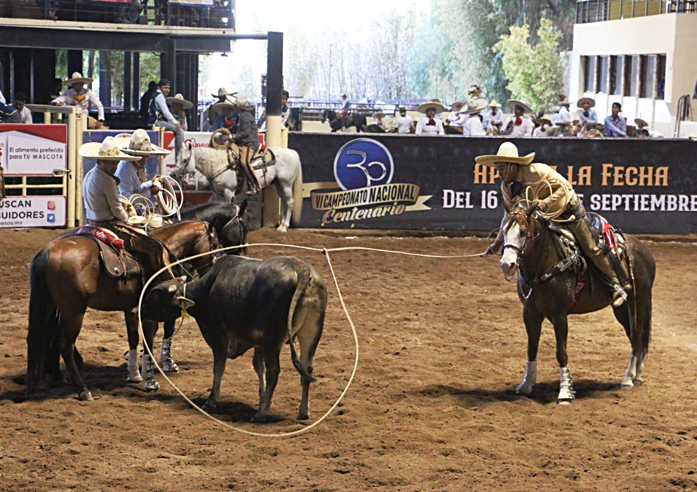 Rodeo San Isidro