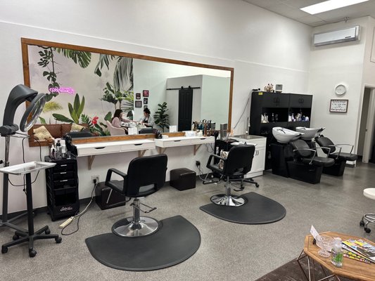 Salon Given