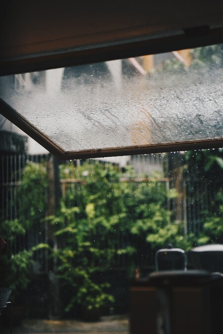 Salón Jardín Lluvia