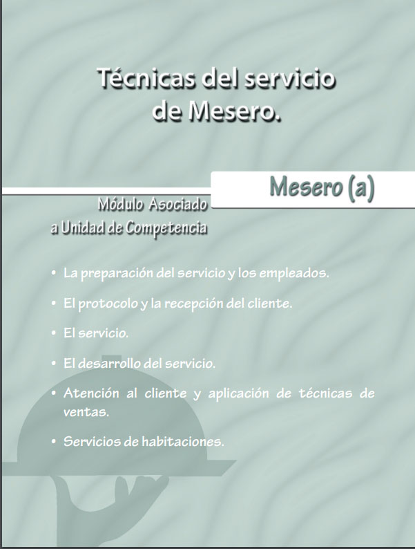 Servicio De Meseros