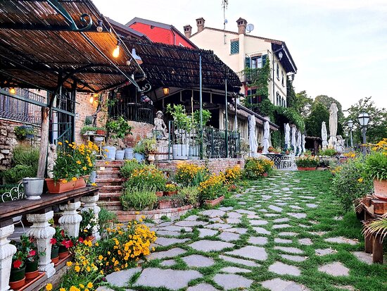 Terraza & Jardin Social Palace